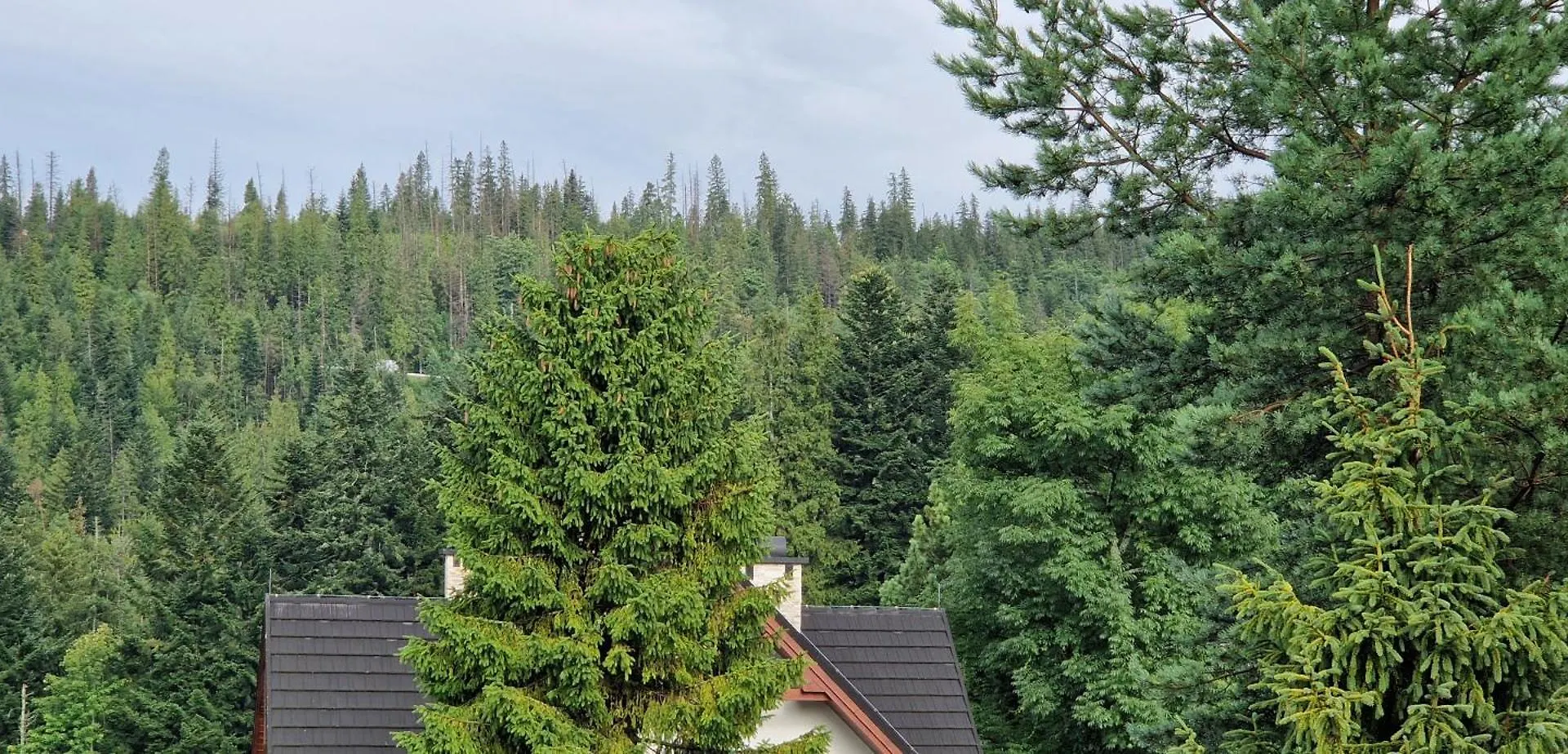 Apartamenty Pod Limba Zakopane Apartamento